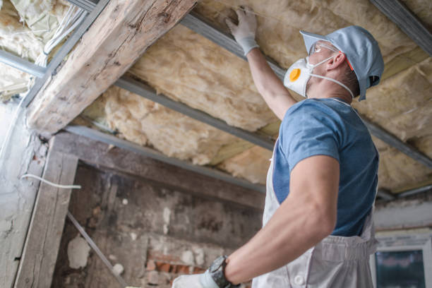 Best Insulation Installation Services in Beach Haven West, NJ